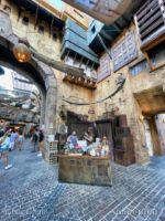 Disneyland galaxys Edge marketplace creature stall overflow reopened-micechat