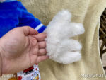 Folkmanis-donald-duck-puppet-hand-manipulation