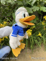 Folkmanis-donald-duck-puppet-puppet-in-action