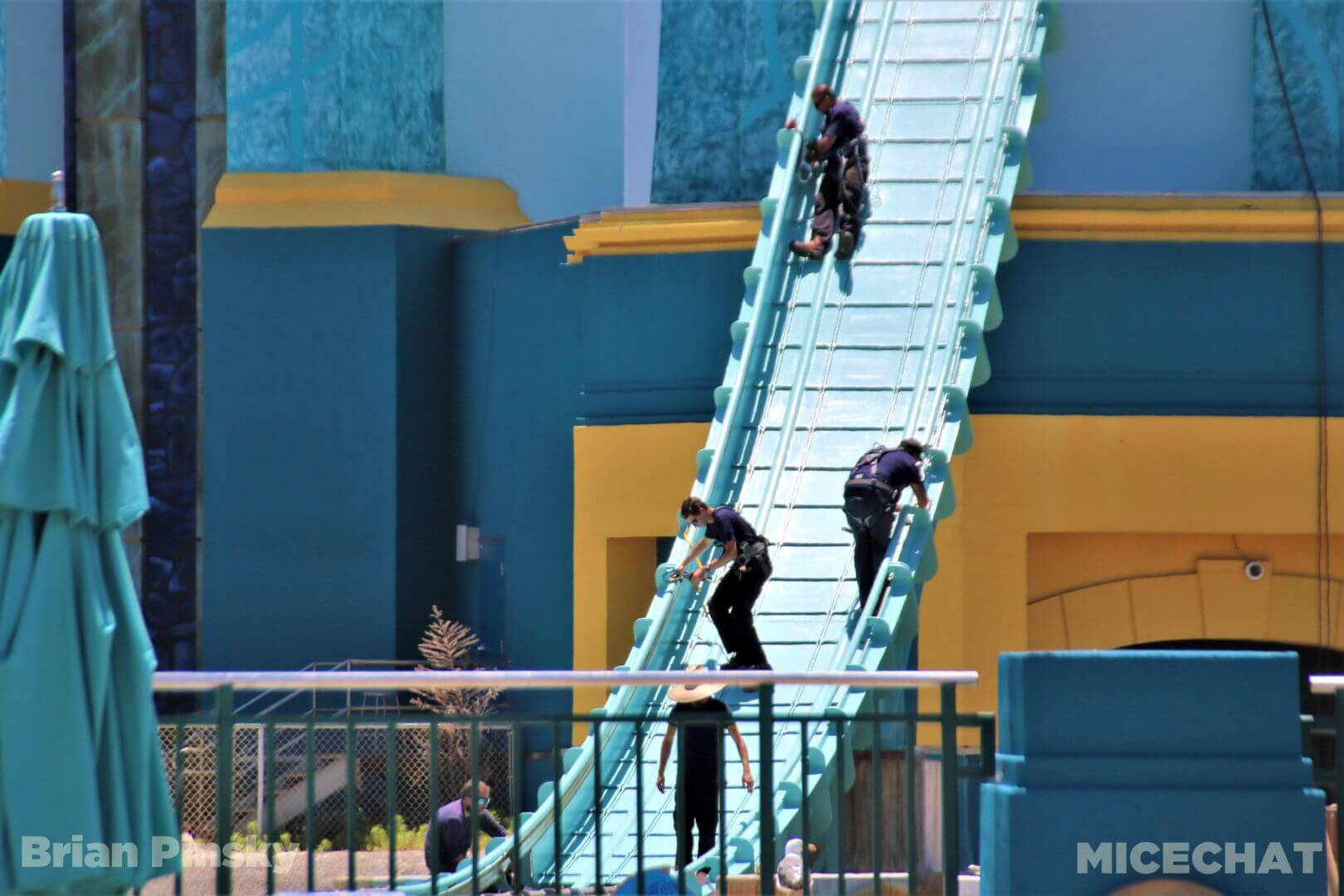 , SeaWorld San Diego Update: Electric Ocean Illuminates the Night