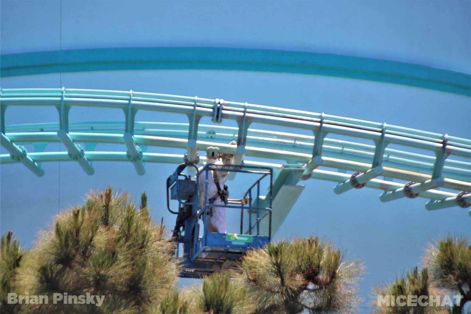 , SeaWorld San Diego Update: Electric Ocean Illuminates the Night