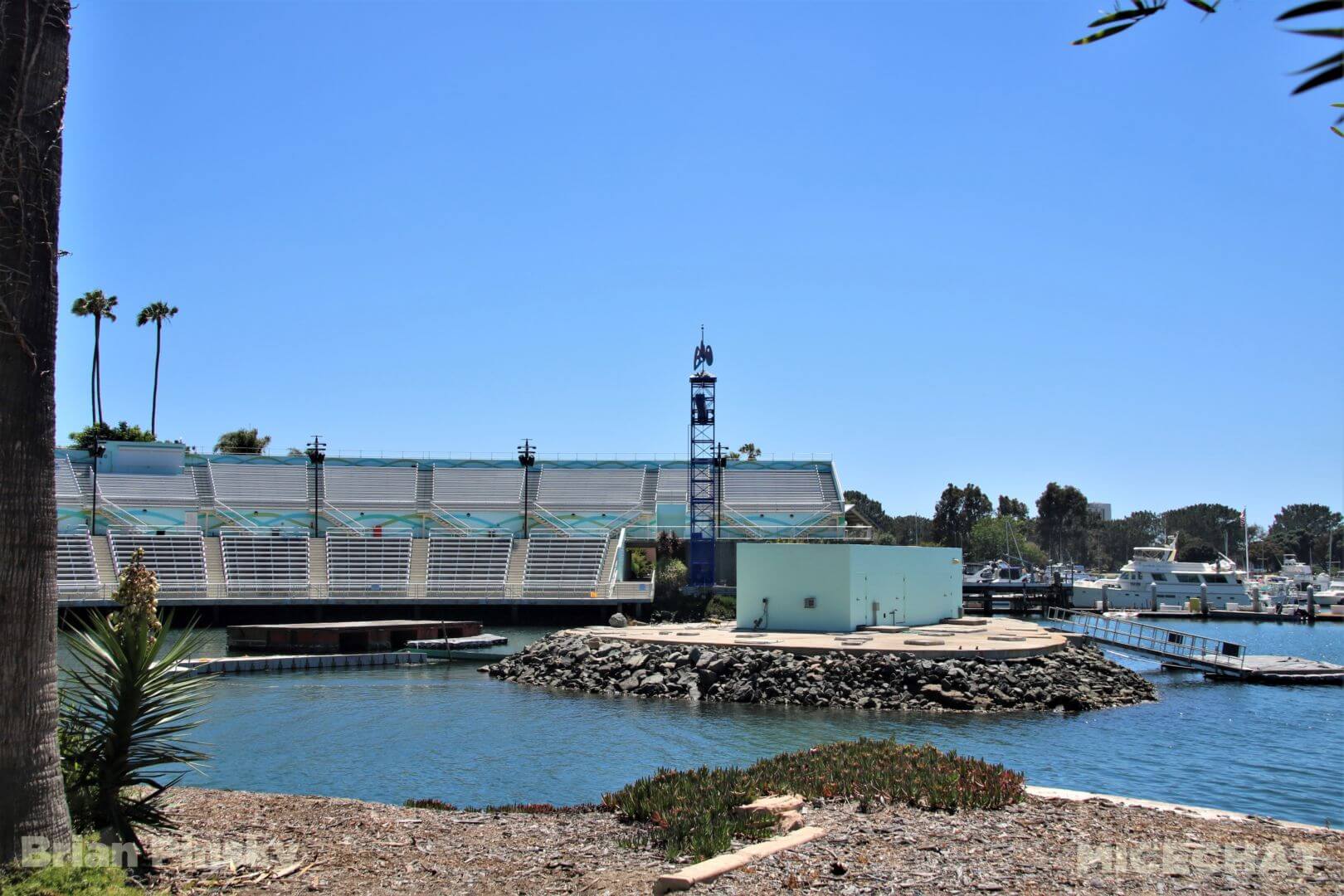 , SeaWorld San Diego Update: Electric Ocean Illuminates the Night
