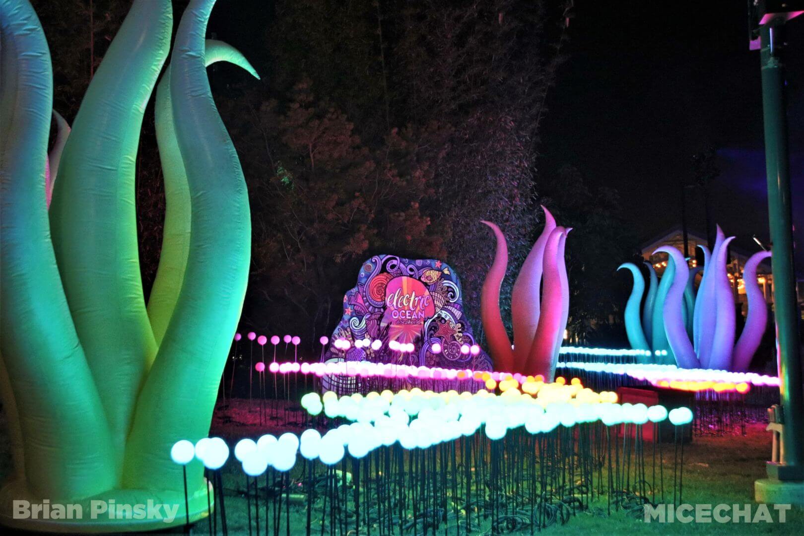 , SeaWorld San Diego Update: Electric Ocean Illuminates the Night
