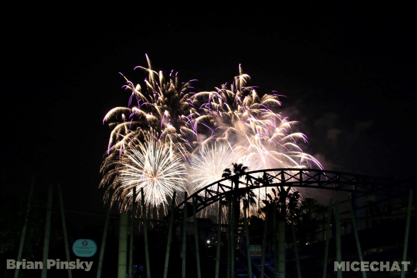 , SeaWorld San Diego Update: Electric Ocean Illuminates the Night