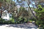 SeaWorld San Diego_Electric Ocean_Moon Jellyfish Canopy Day