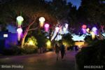 SeaWorld San Diego_Electric Ocean_Moon Jellyfish Canopy Night 2