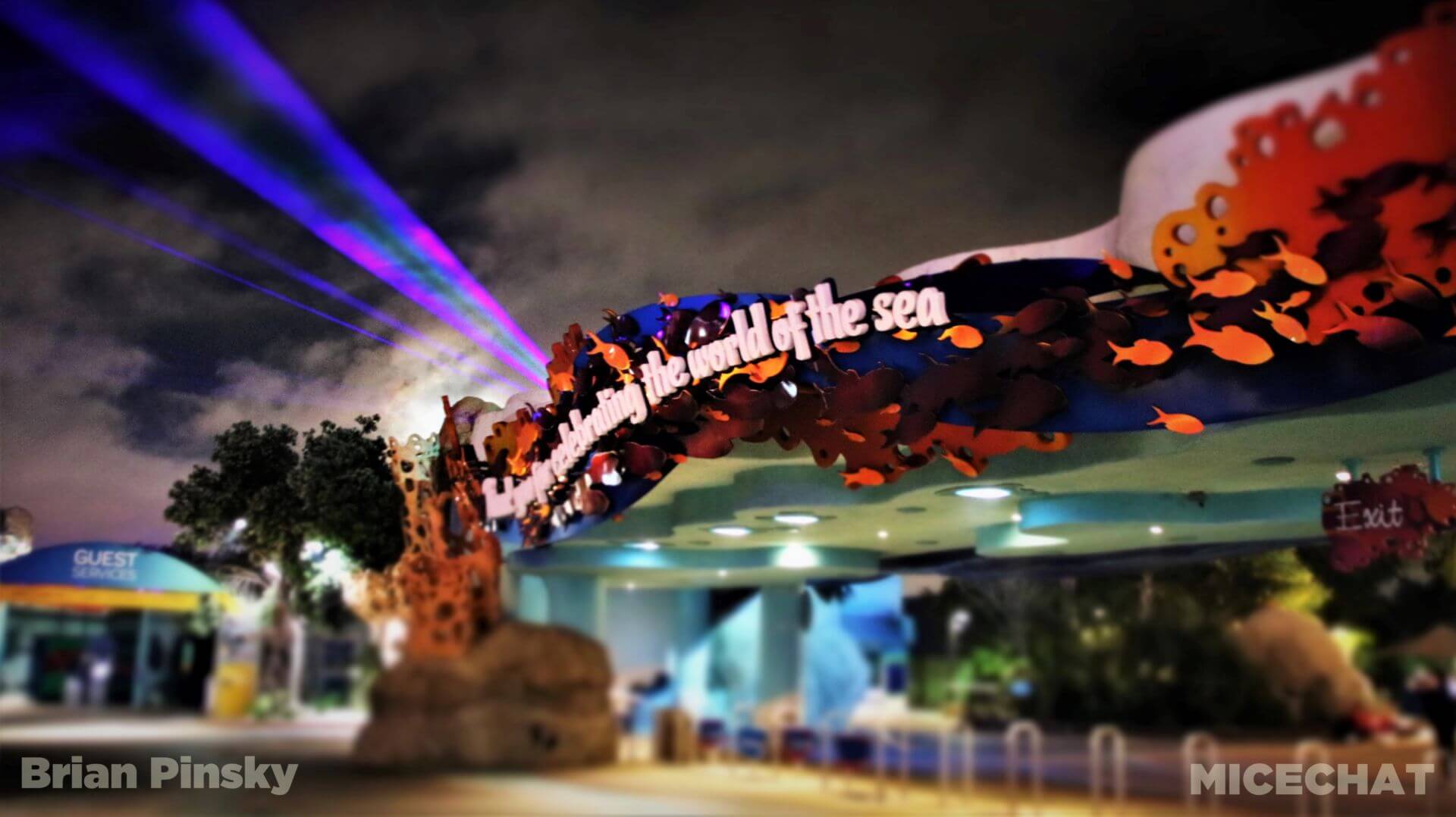, SeaWorld San Diego Update: Electric Ocean Illuminates the Night