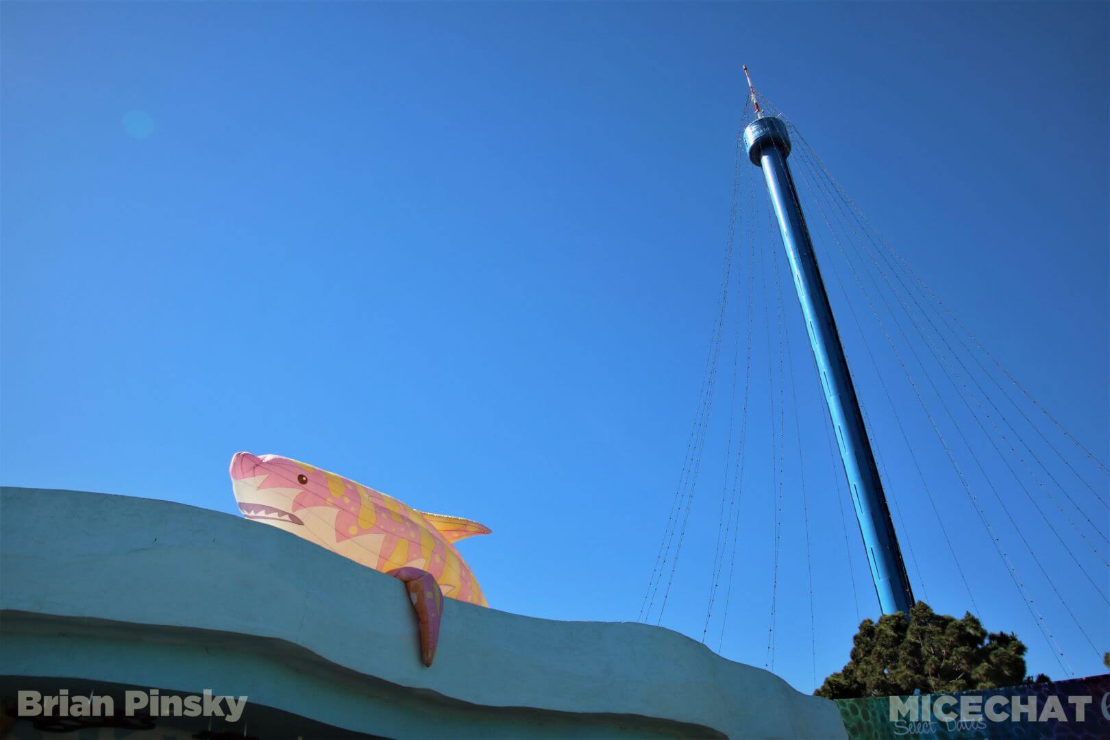 , SeaWorld San Diego Update: Electric Ocean Illuminates the Night