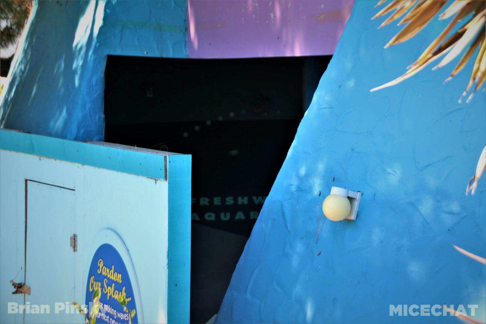 , SeaWorld San Diego Update: Electric Ocean Illuminates the Night