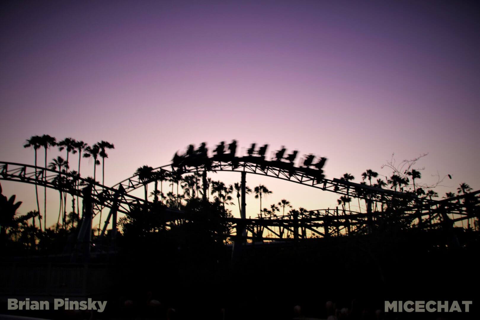, SeaWorld San Diego Update: Electric Ocean Illuminates the Night