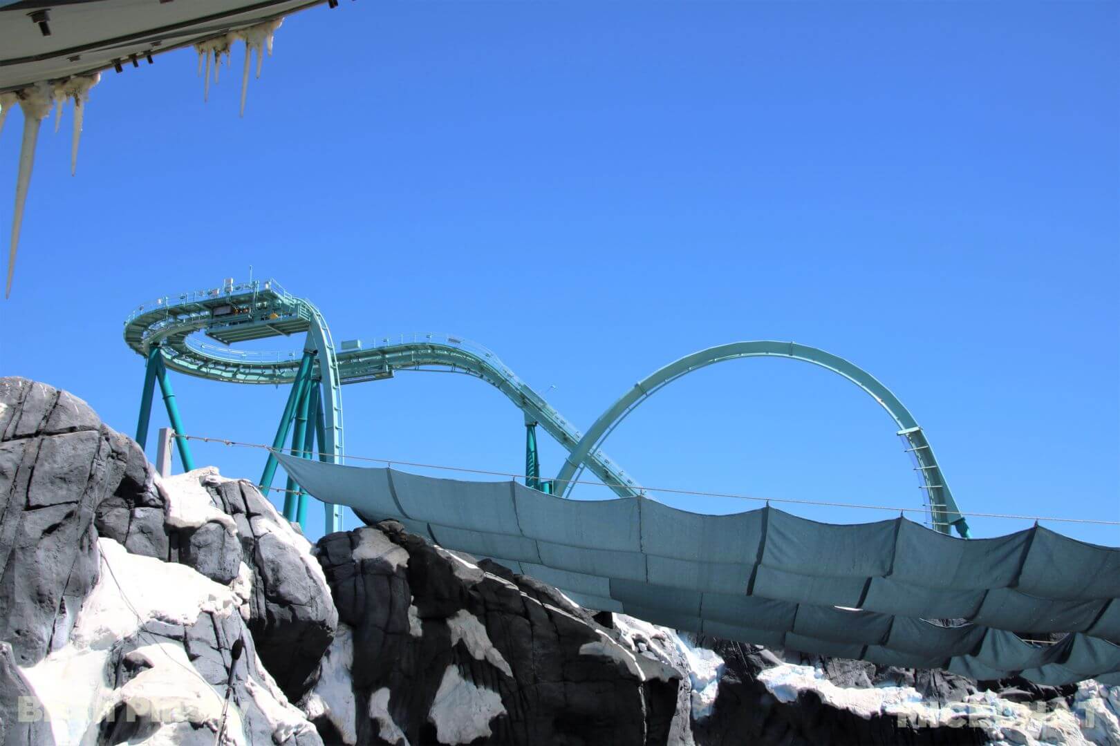 , SeaWorld San Diego Update: Electric Ocean Illuminates the Night