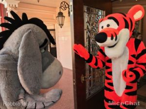 Disneyland 66th Birthday, Disneyland Update – Two Steps Forward and Two Steps Back