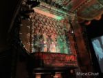 D23 Jungle Cruise El Capitan MiceChat Costumes 1