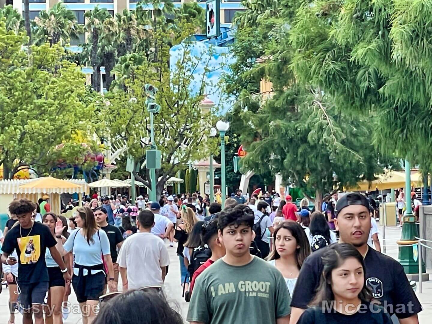 , Disneyland Update – It’s a Jungle Out There!