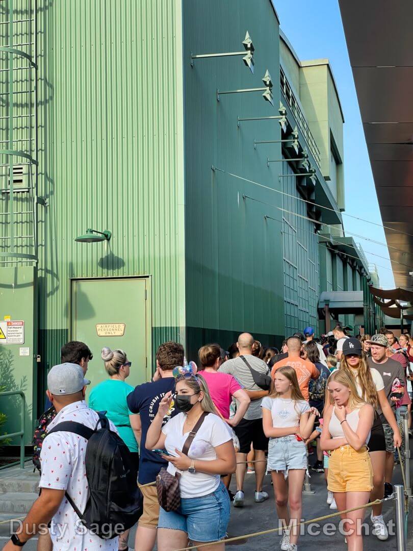 , Disneyland Update – It’s a Jungle Out There!