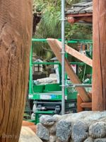 DCA Redwood Creek Challenge Trail Construction 2-micechat