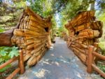 Disney California Adventure Redwood Creek Challenge Trail Fallen Tree path-micechat