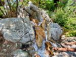 Disney California Adventure Redwood Creek Challenge Trail waterfall-micechat