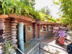 Disneyland Briar Patch Shop Reopened-micechat