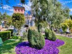 Disneyland Castle Swans-micechat