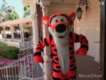 Disneyland Character Dining Plaza Inn MiceChat Tigger 1
