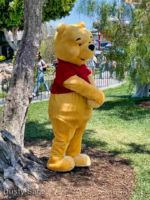 Disneyland Characters Pooh-micechat