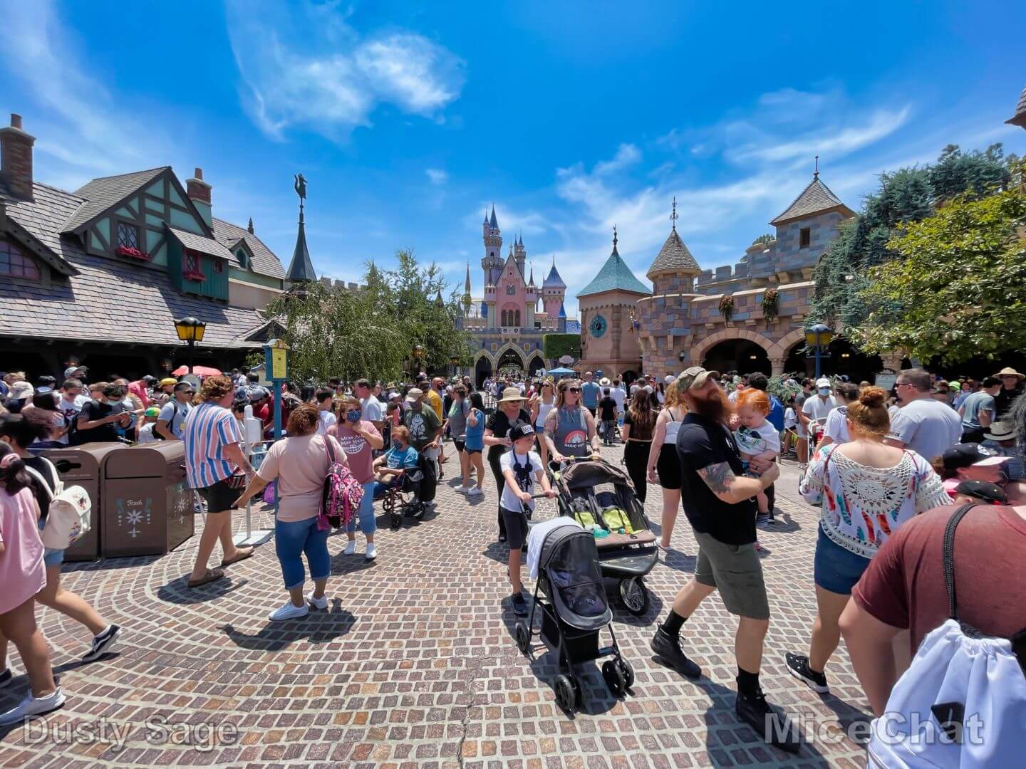 , Disneyland Update – It’s a Jungle Out There!