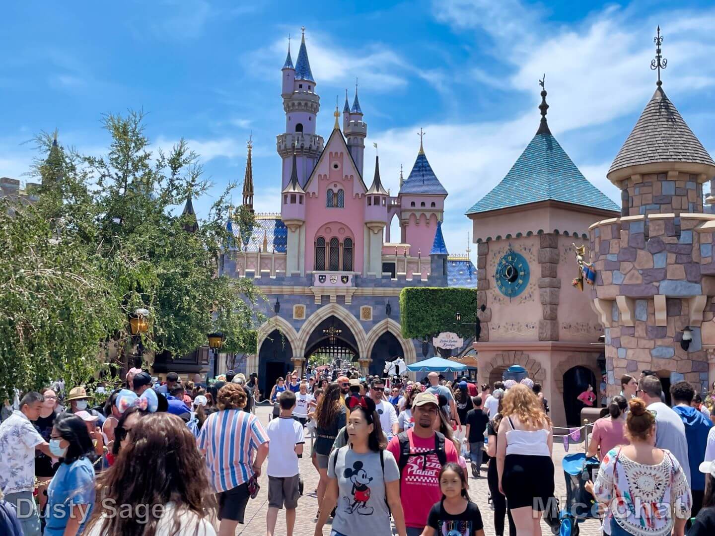 , Disneyland Update &#8211; It&#8217;s a Jungle Out There!