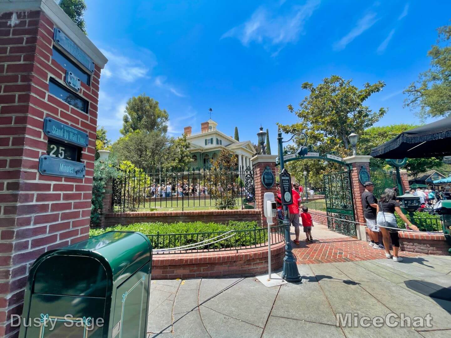 , Disneyland Update – It’s a Jungle Out There!