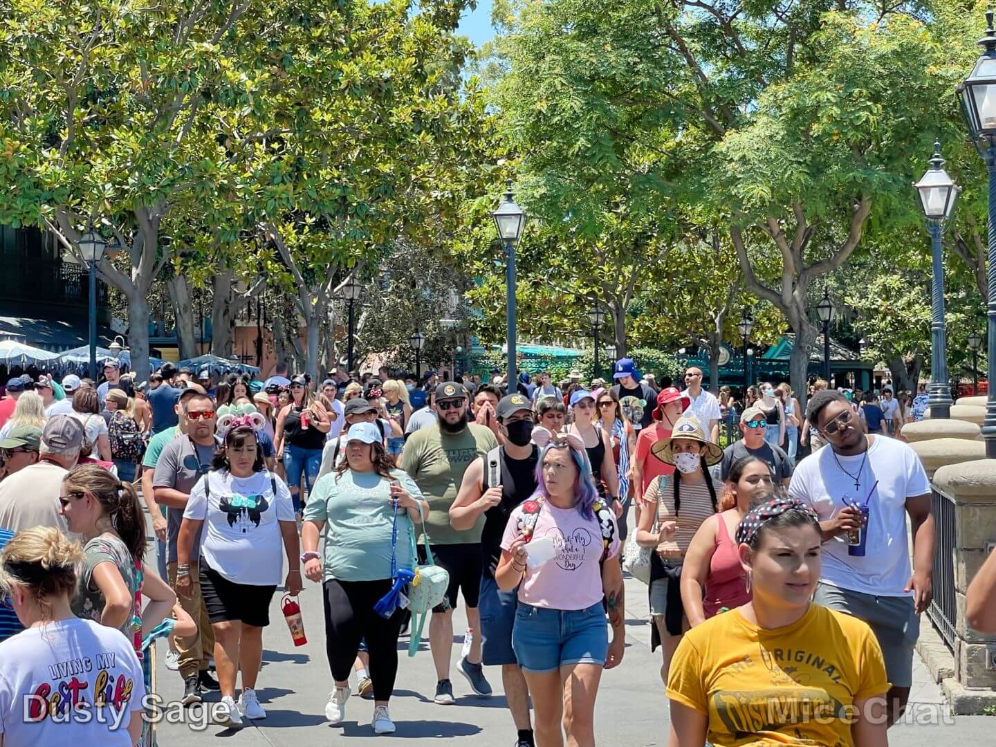 , Disneyland Update – You’ll Get The Point In The End