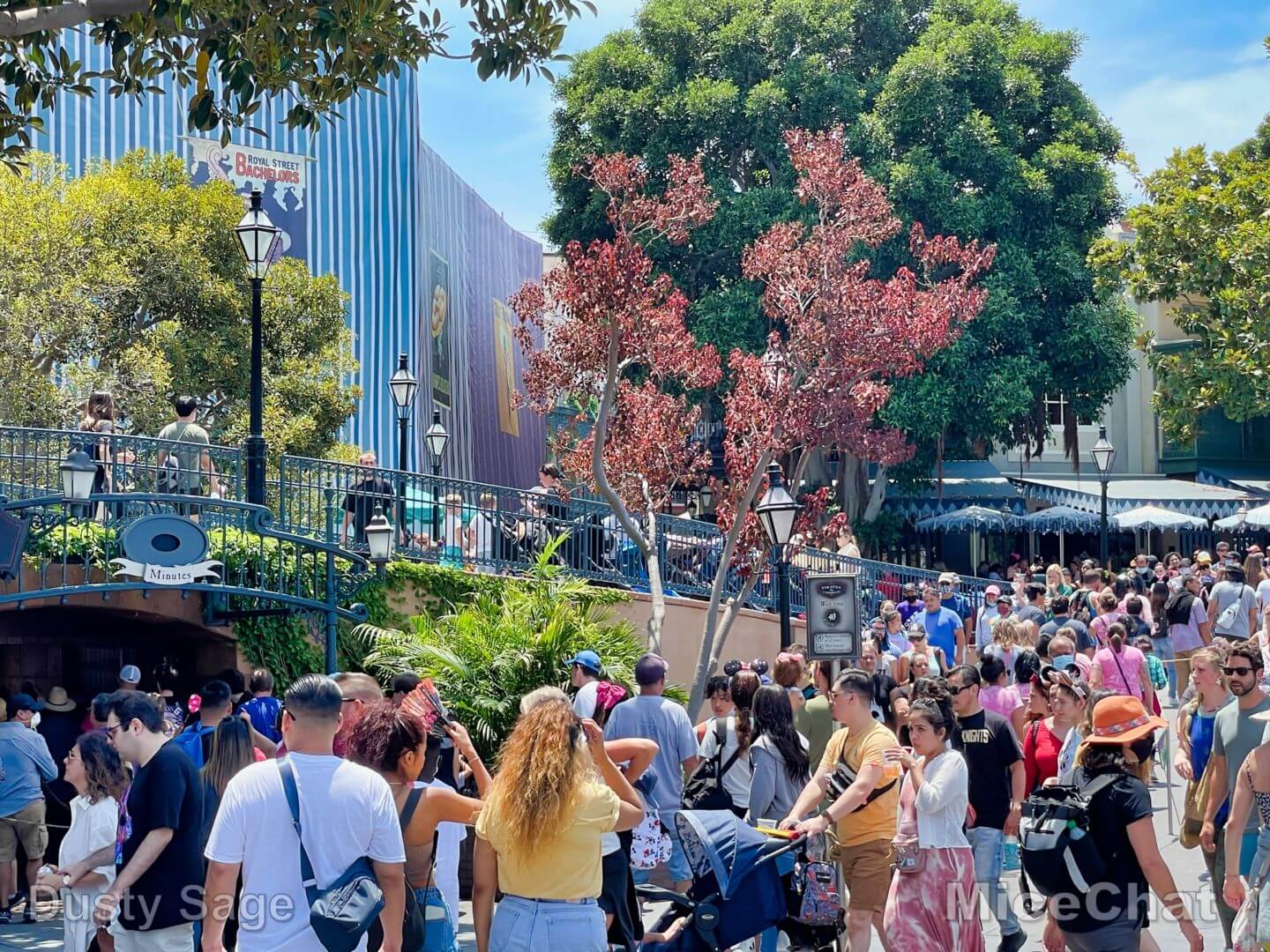 , Disneyland Update – It’s a Jungle Out There!