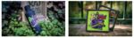 Disneyland-Haunted-Mansion-Holidays-20years-3