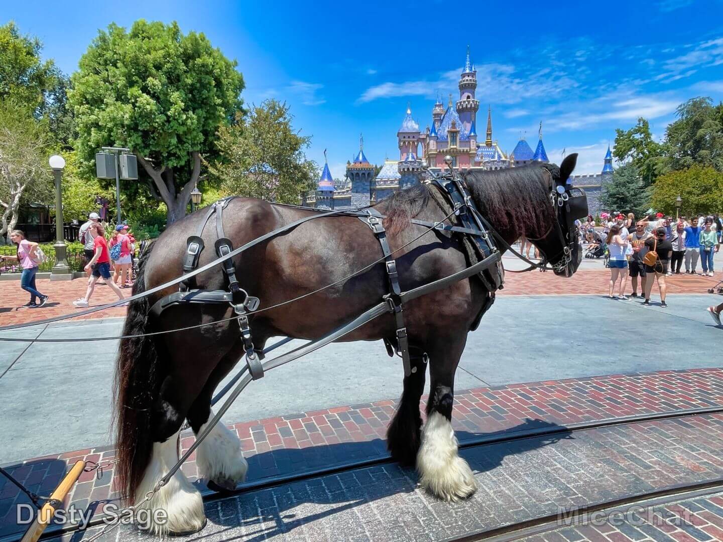 , Disneyland Update – You’ll Get The Point In The End