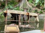 Disneyland Jungle Cruise Hippo Pool Sunken Boat