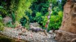 World-Famous Jungle Cruise Reopens at Disneyland Park on July 16, 2021