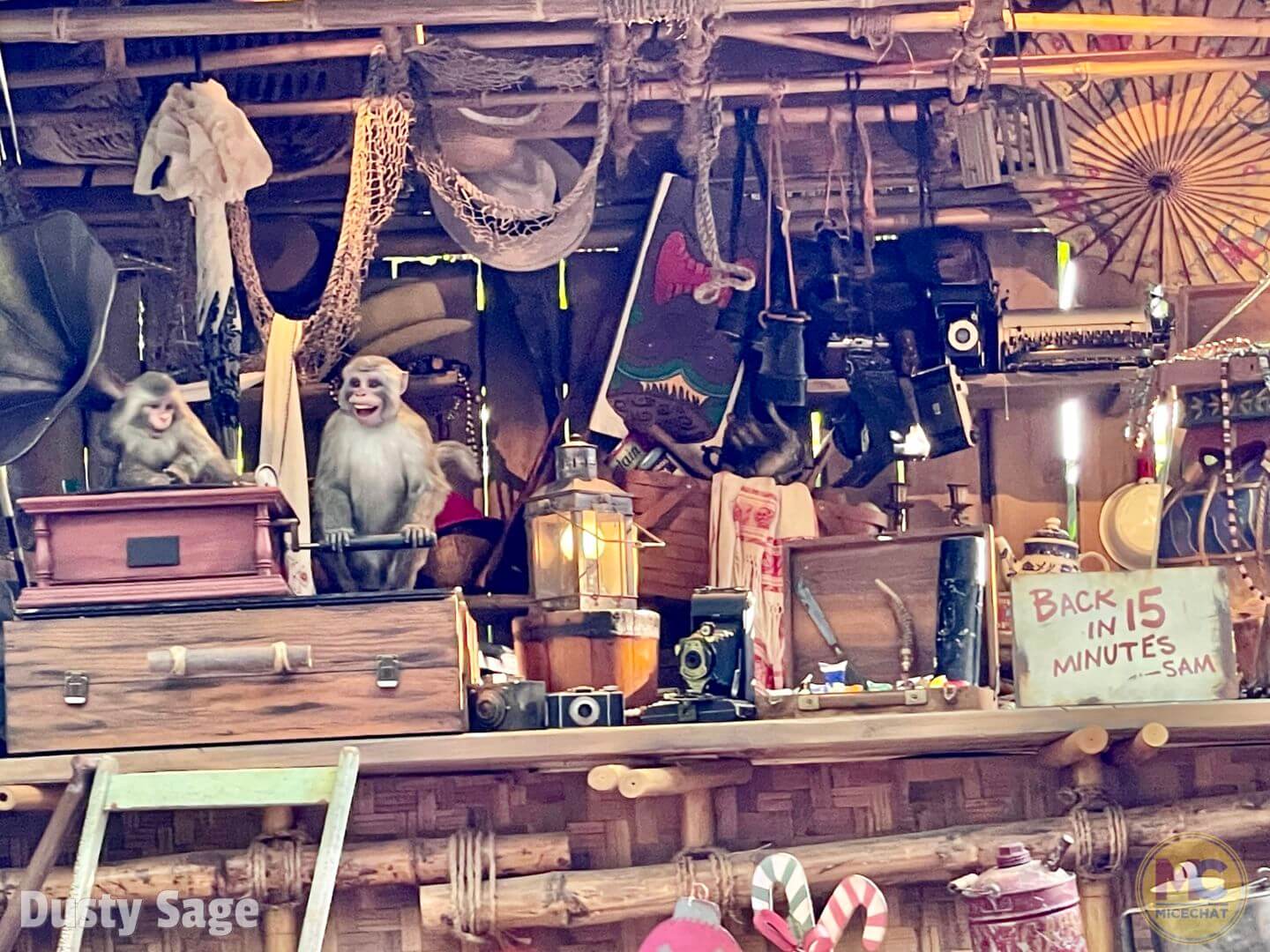 , Disneyland Update – You’ll Get The Point In The End