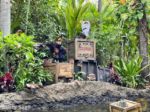 Disneyland Jungle Cruise MiceChat Sunken Boat 3
