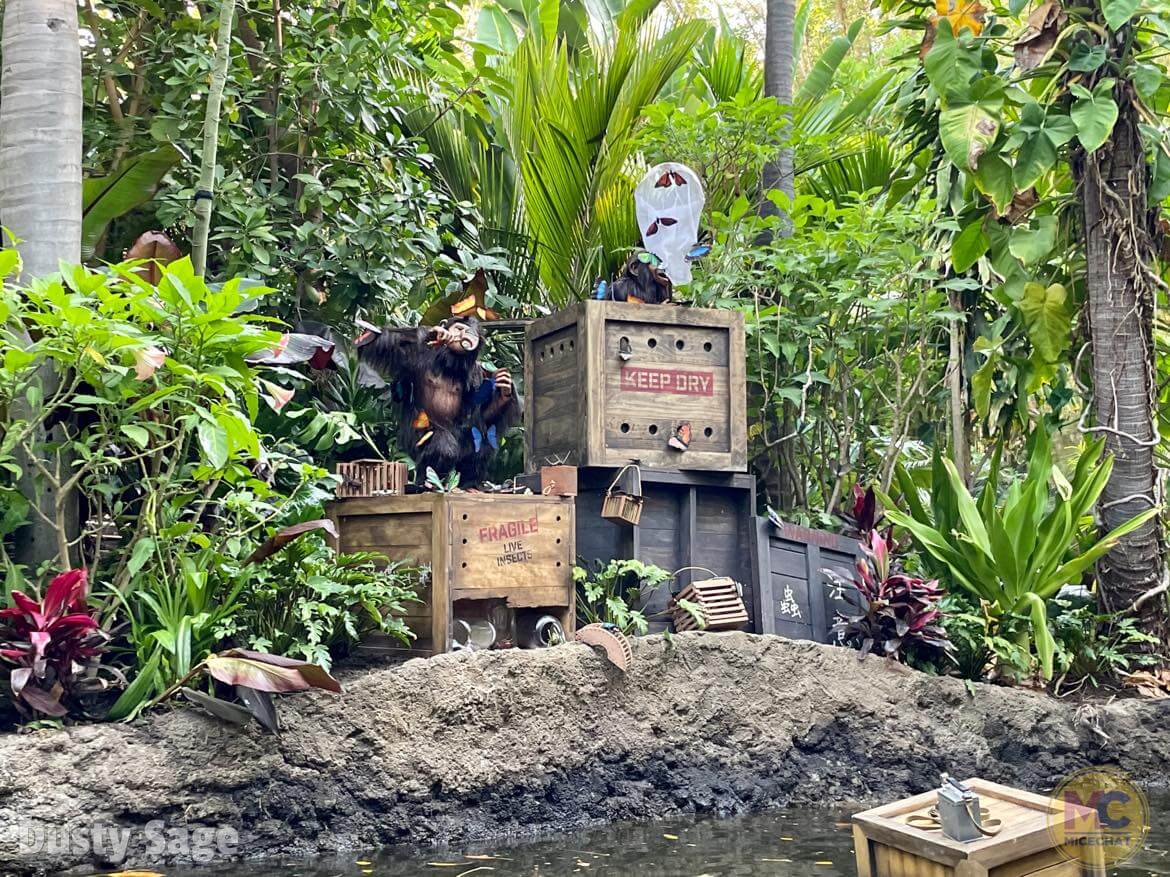 , Disneyland Jungle Cruise Reopens with Big Changes