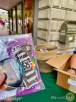Disneyland-Jungle Cruise Movie M&M giveaway-micechat