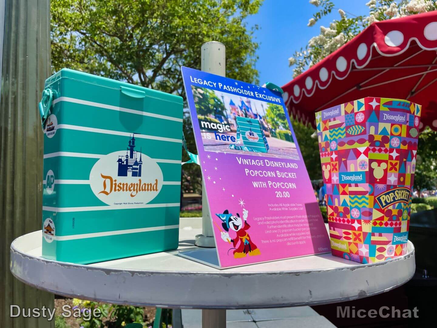 , Disneyland Update – You’ll Get The Point In The End