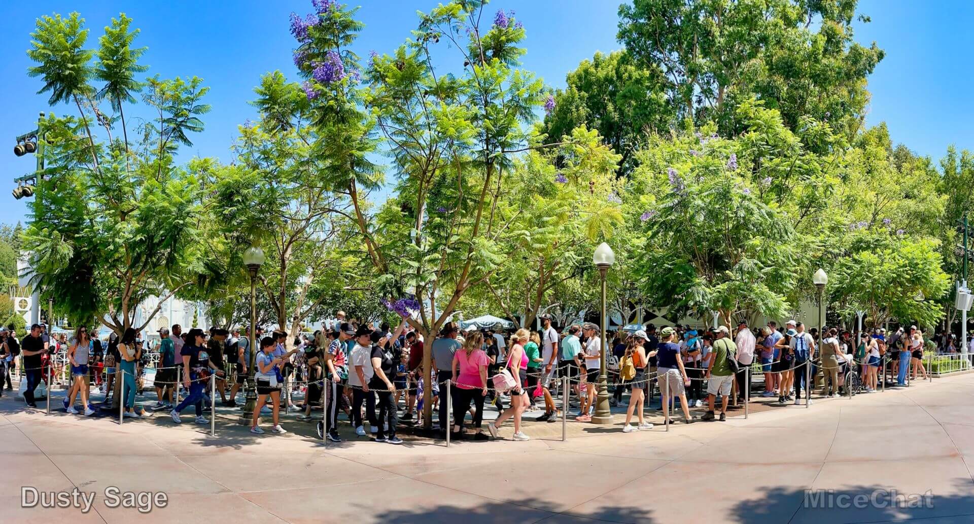 , Disneyland Update &#8211; It&#8217;s a Jungle Out There!