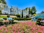 Disneyland Small World Pretty Flowers-micechat