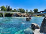 Disneyland Sub Lagoon-micechat
