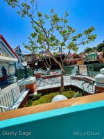 Disneyland ToonTown Mickey and Minnie Runaway Railway Construction 1-micechat