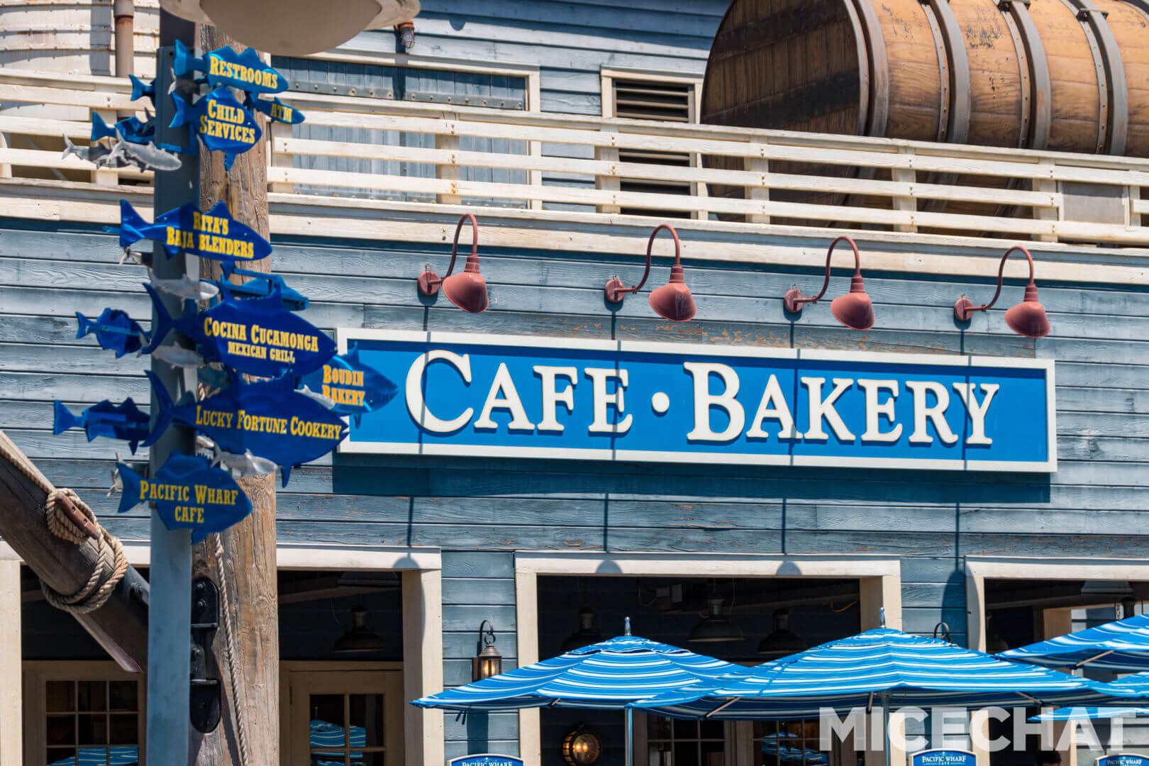 , Disneyland Update – Uncertainty Returns to Packed Parks