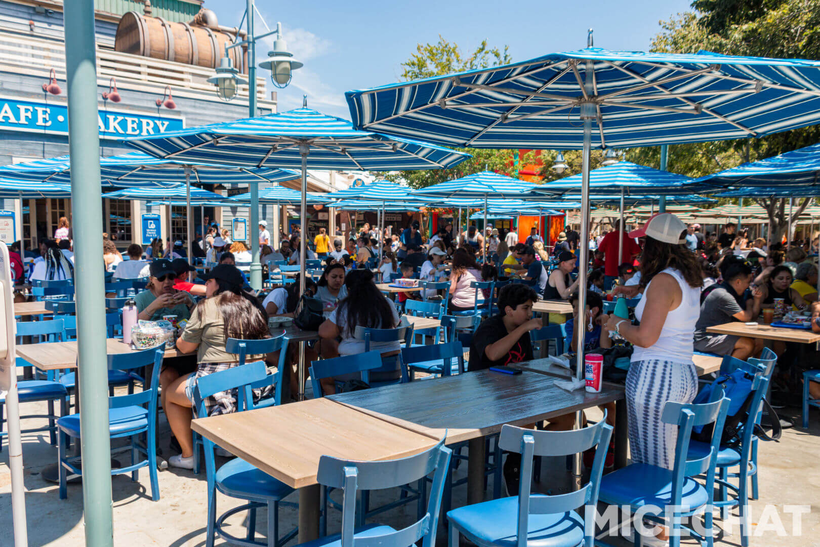, Disneyland Update – Uncertainty Returns to Packed Parks