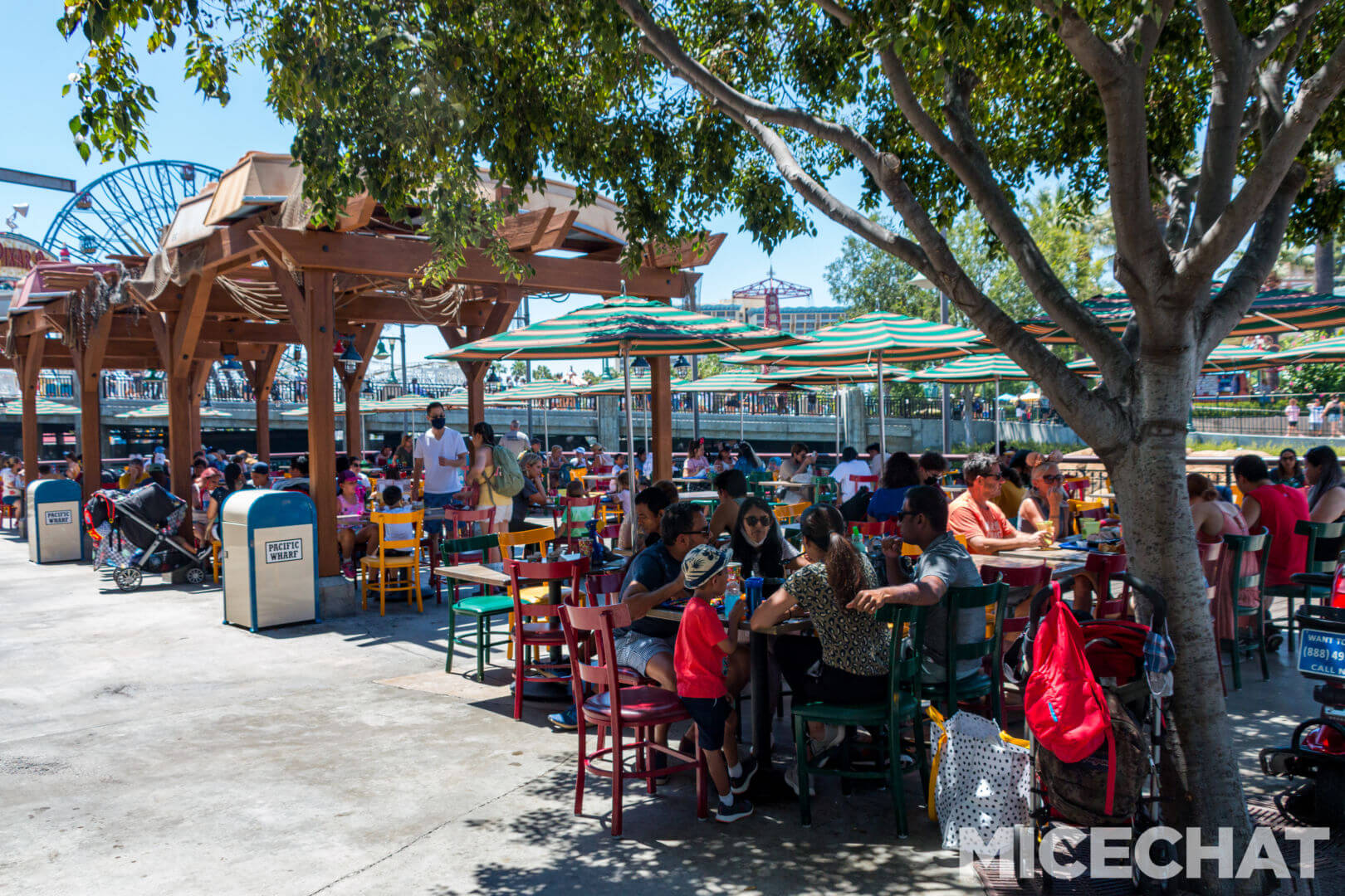 , Disneyland Update – Uncertainty Returns to Packed Parks