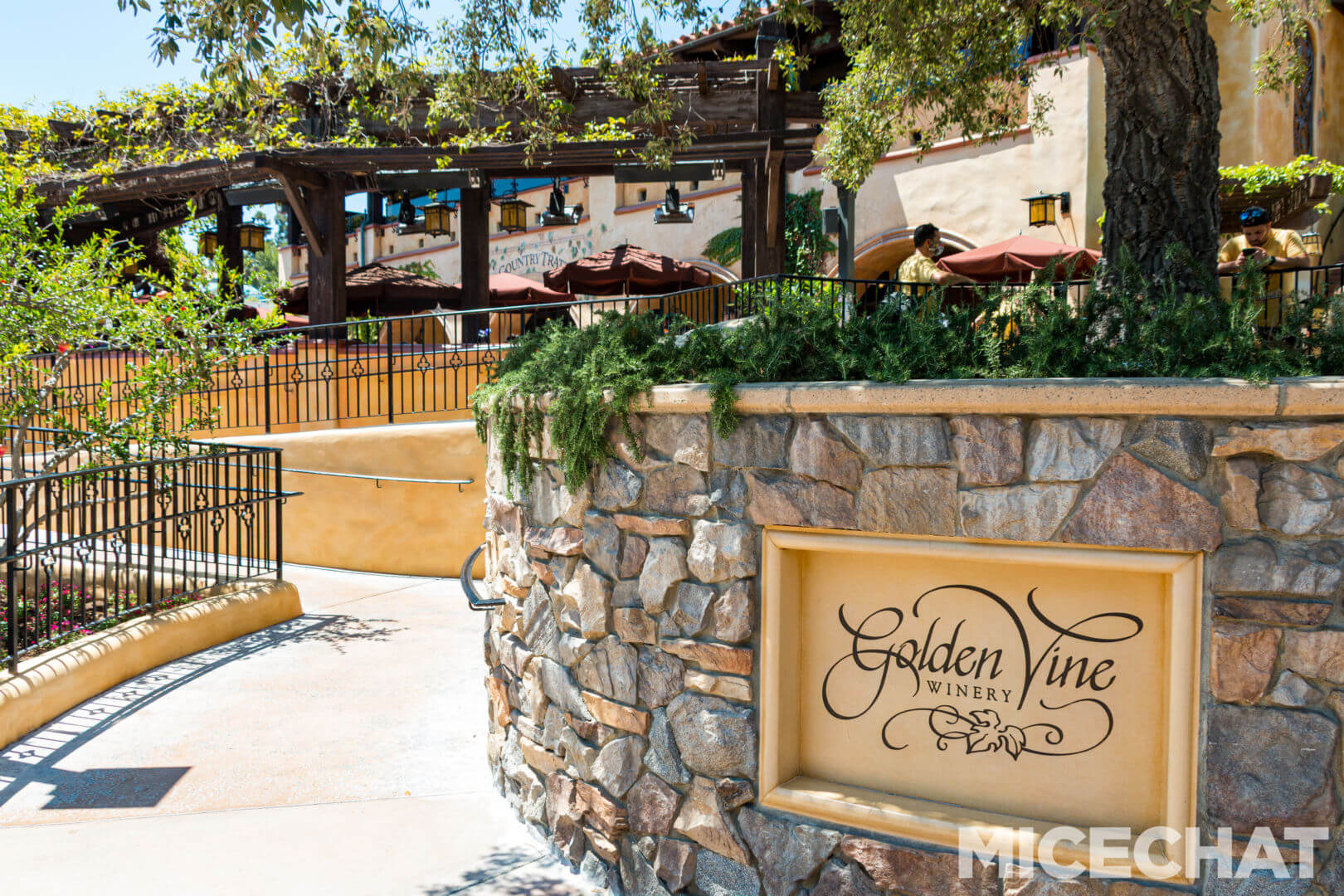 , Disneyland Update – Uncertainty Returns to Packed Parks
