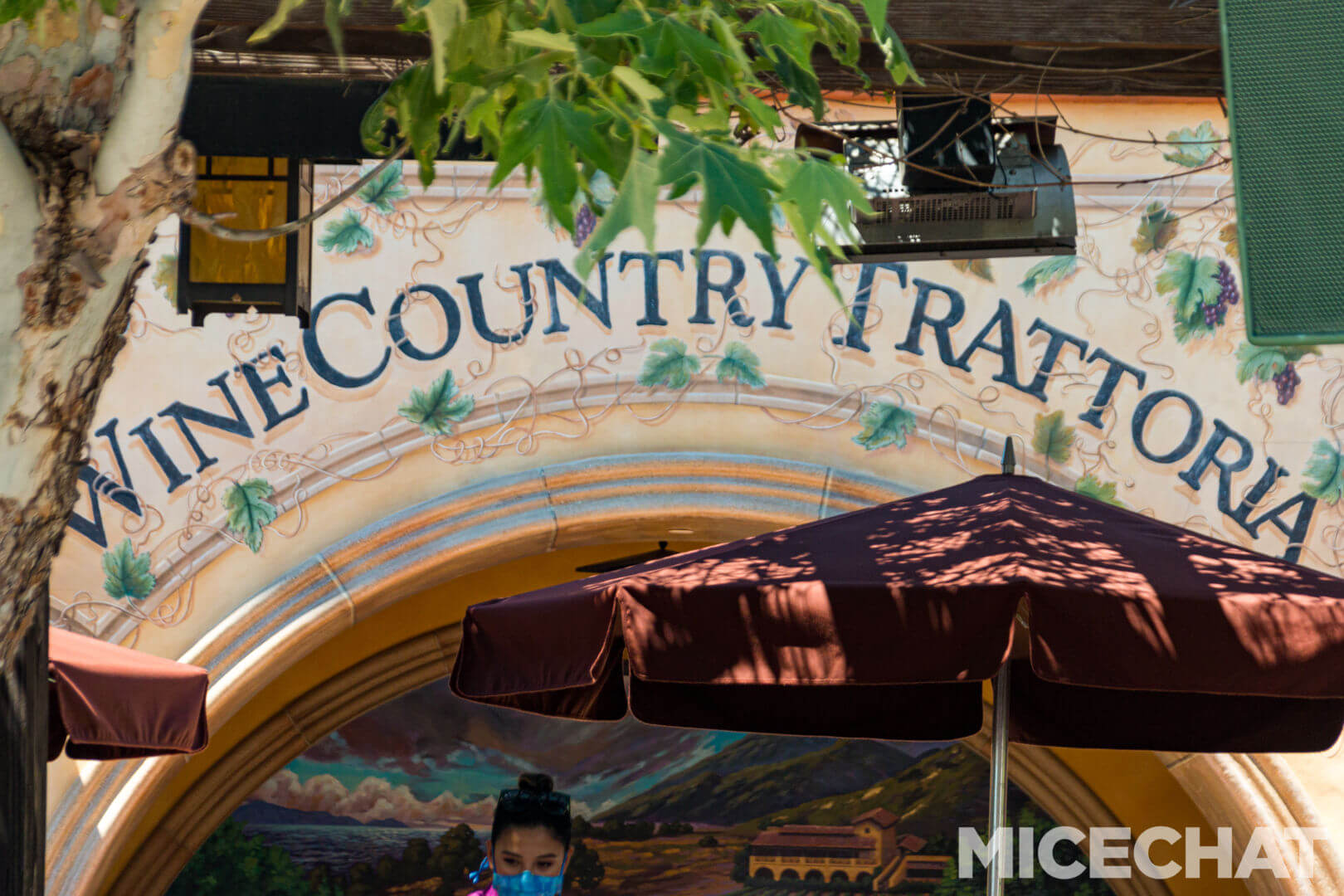 , Disneyland Update – Uncertainty Returns to Packed Parks