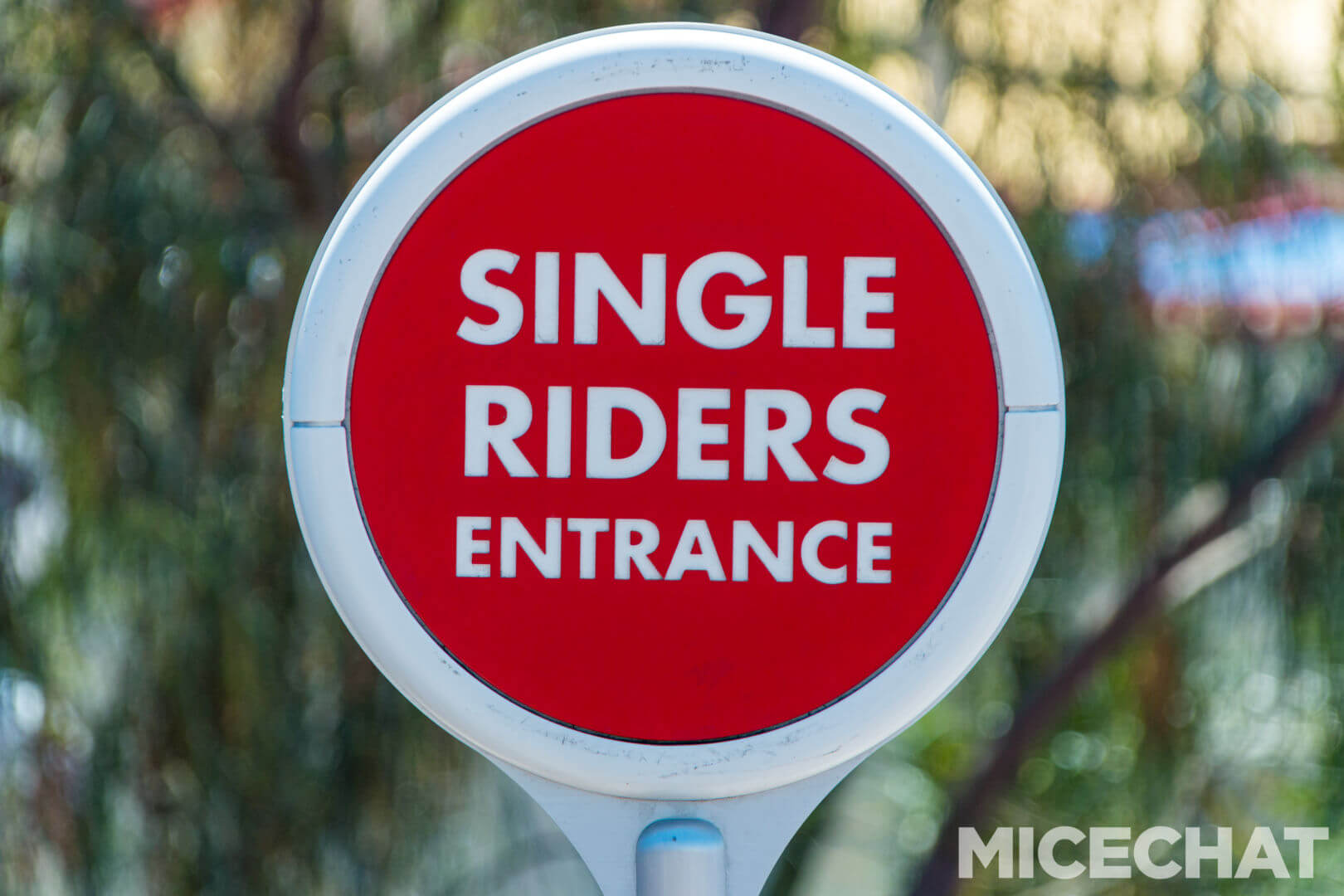 , Disneyland Update – Uncertainty Returns to Packed Parks